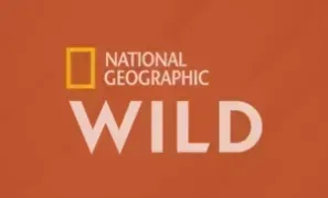 Nat Geographic Wild logo